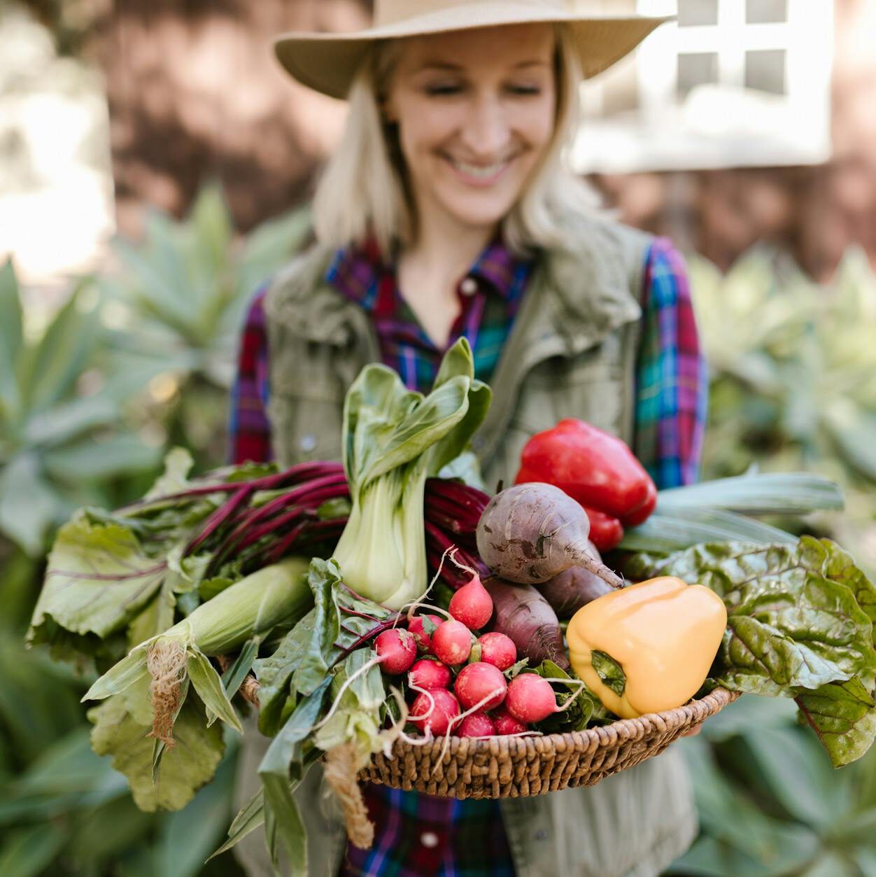 close up photo of fresh produce vegetables