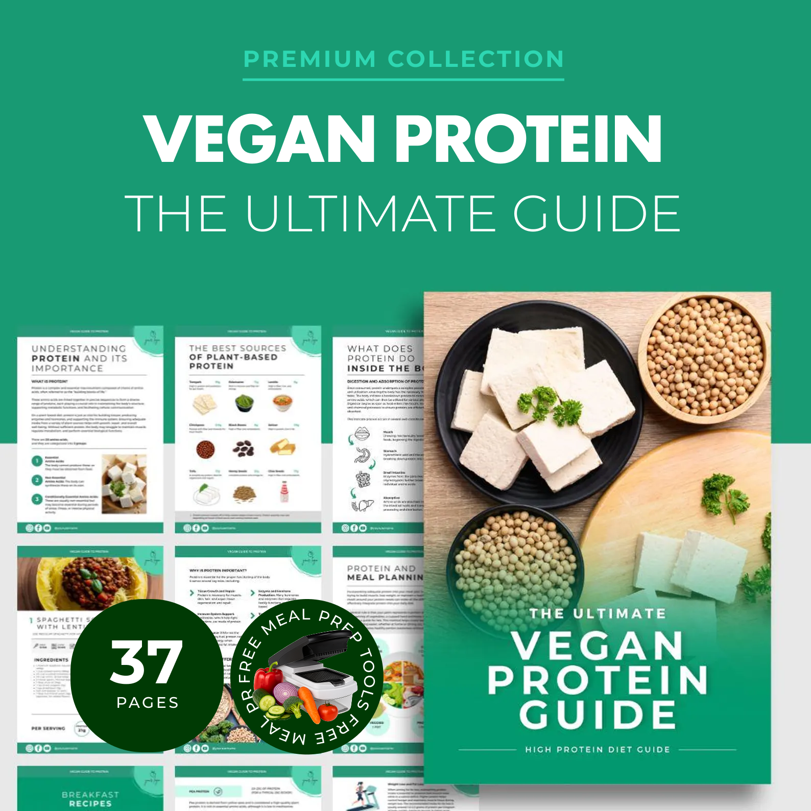 vegan meal prep ideas guide